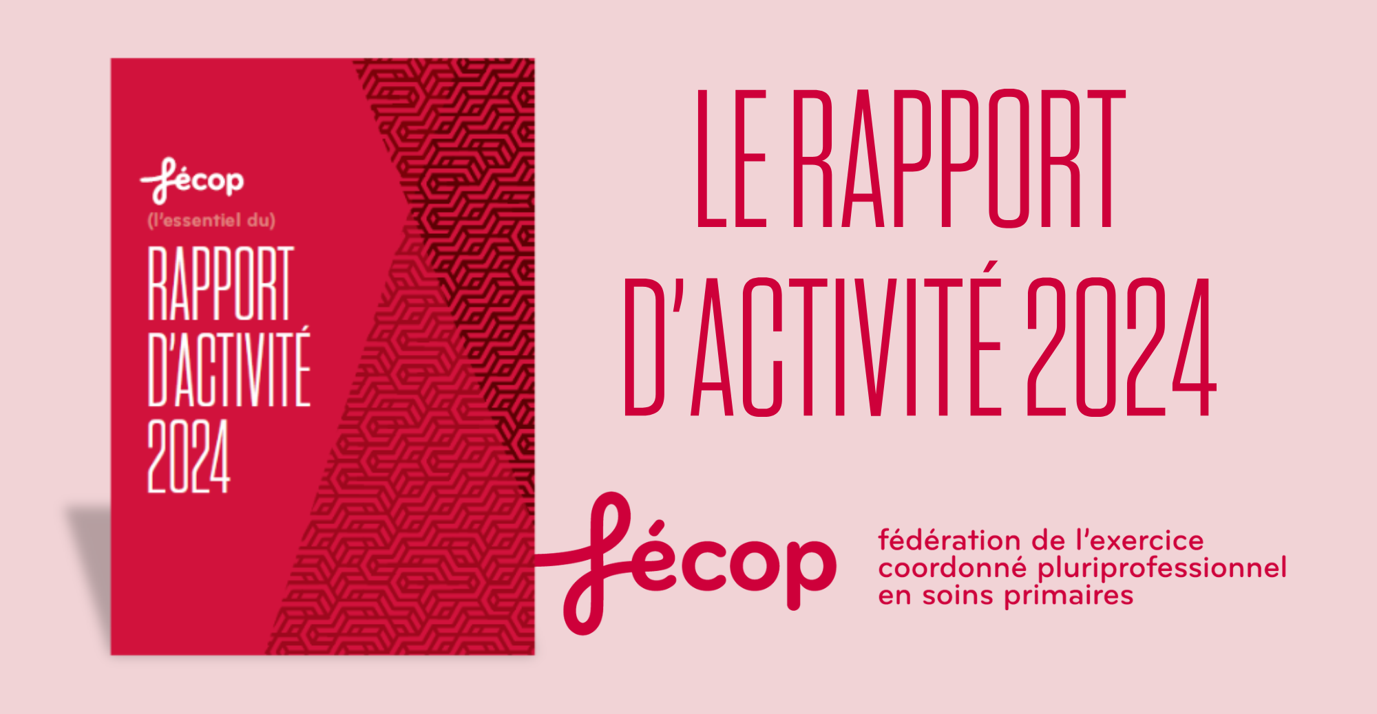 Le rapport d'activité 2024
