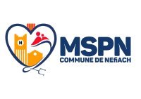 MSP NEFIACH